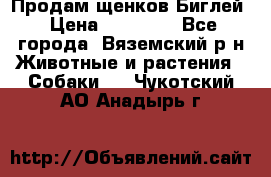 Продам щенков Биглей › Цена ­ 15 000 - Все города, Вяземский р-н Животные и растения » Собаки   . Чукотский АО,Анадырь г.